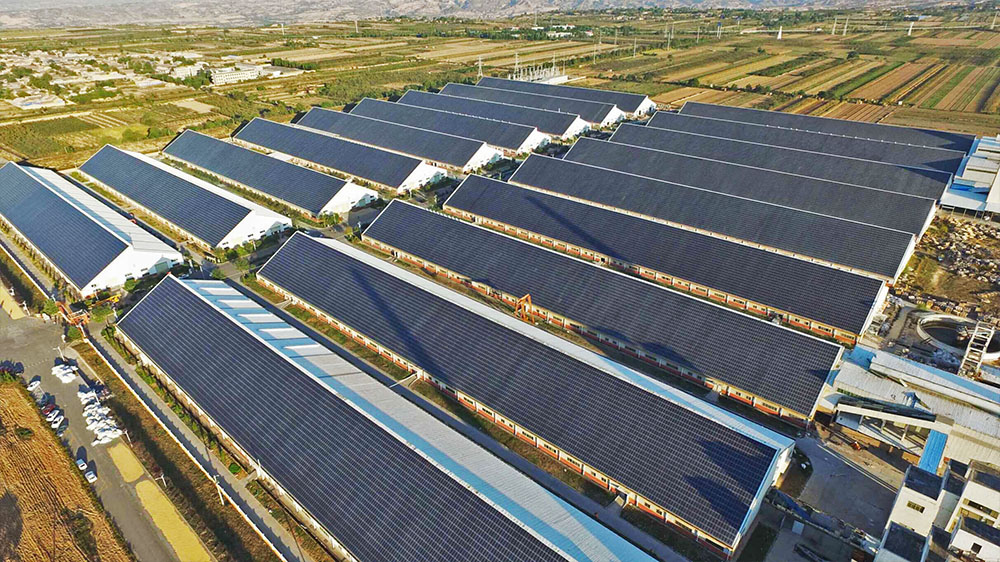 澳门正规电子游戏平台