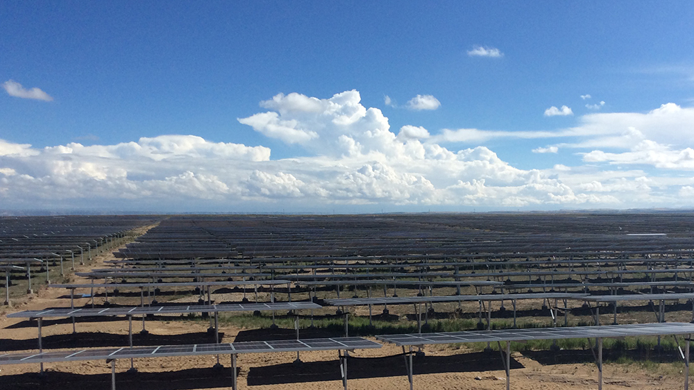 澳门正规电子游戏平台