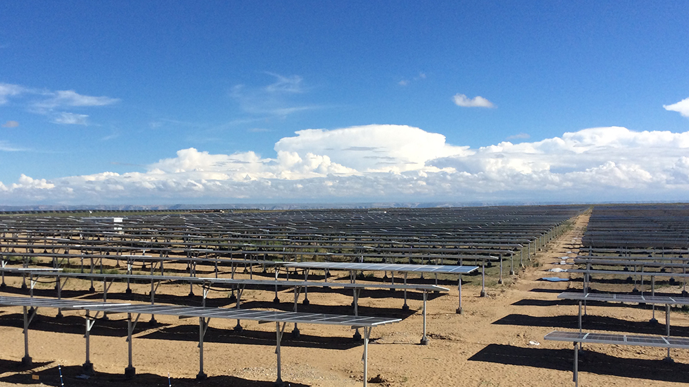 澳门正规电子游戏平台
