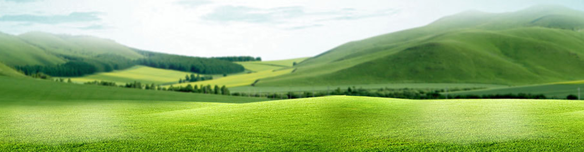 澳门正规电子游戏平台