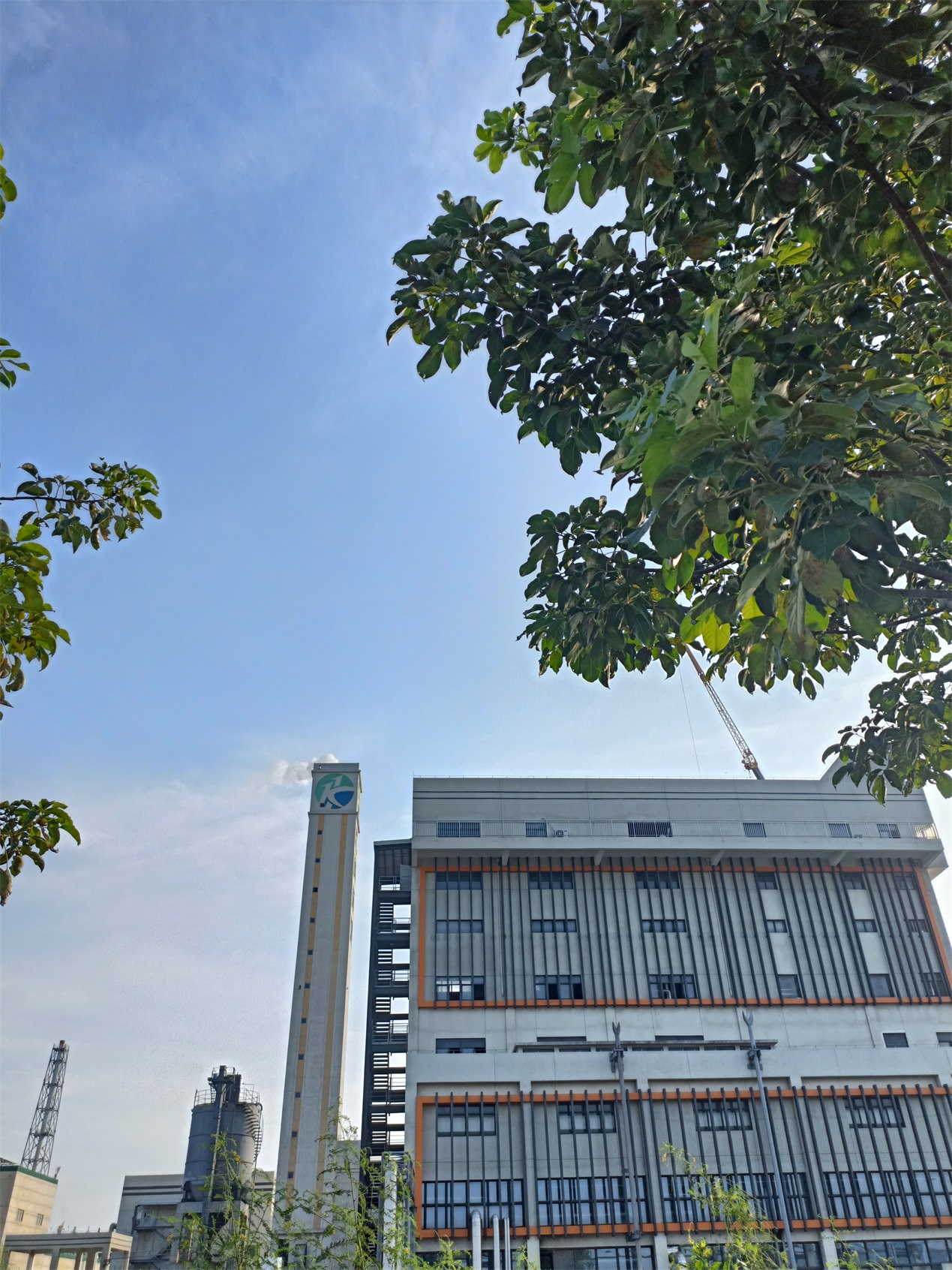 澳门正规电子游戏平台